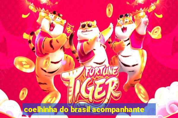 coelhinha do brasil acompanhante